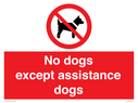 no-dogs-except-assistance-dogs~